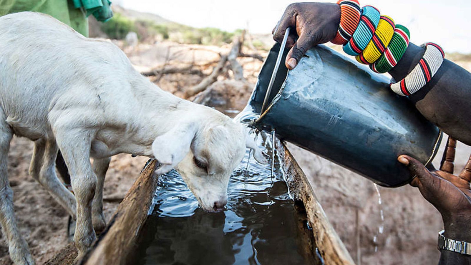 Grandes documentales - La Tierra: Un nuevo entorno natural: agua - ver ahora