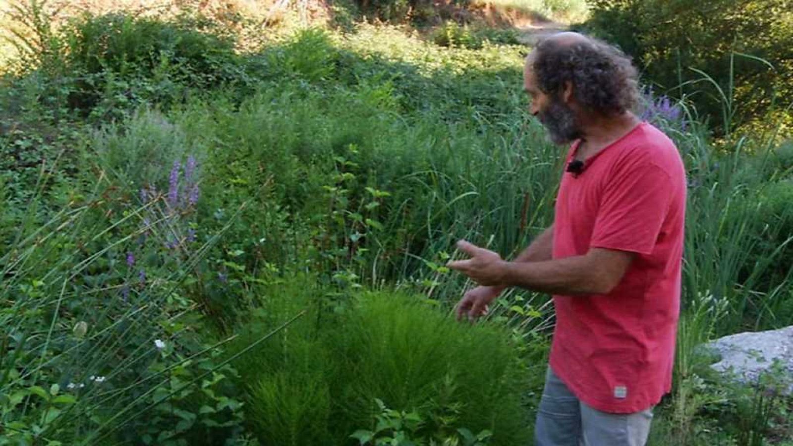 Aquí la Tierra - 16/10/17 - ver ahora