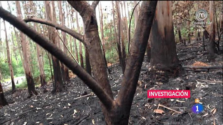 La mañana - ¿Quienes son los incendiarios?