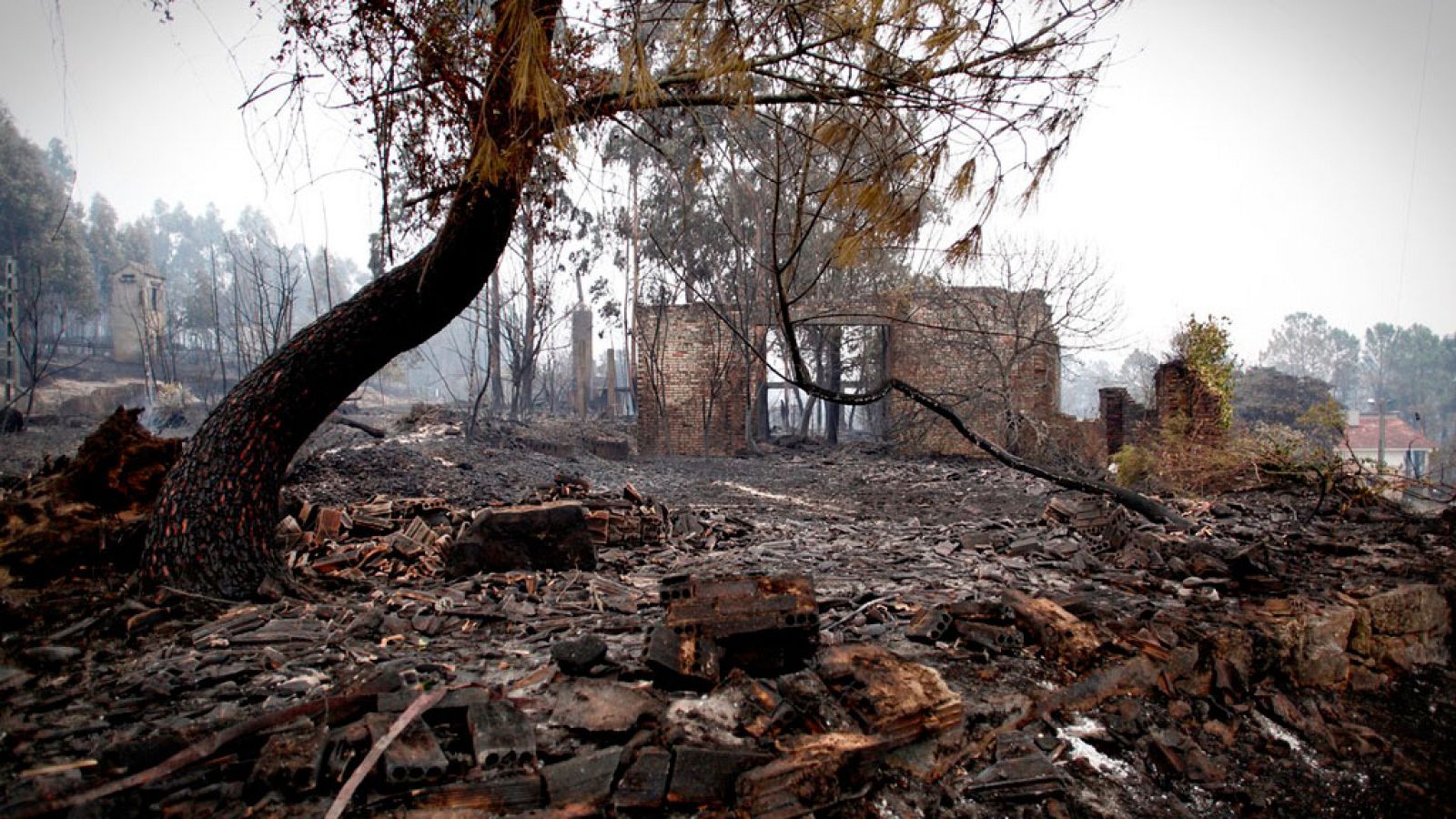 Carballeda de Avia, en Ourense, una de las localidades más afectadas por el fuego