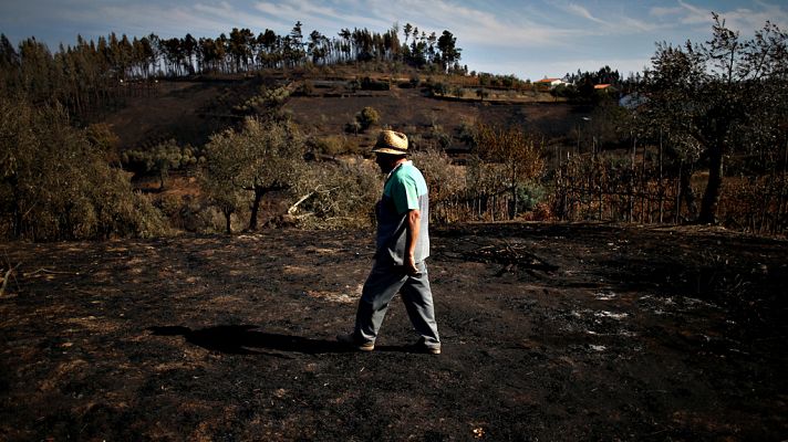 Telediario 1 - Portugal evalúa los daños causados por los devastadores incendios de los últimos días