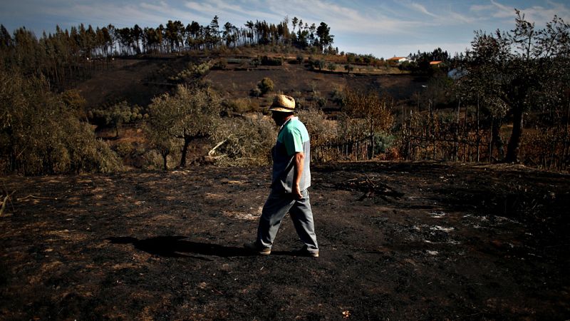 Portugal evalúa los daños causados por los devastadores incendios de los últimos días