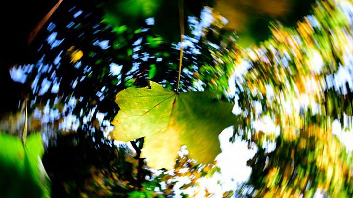 Informativo de Madrid - El Tiempo en la Comunidad de Madrid - 18/10/17