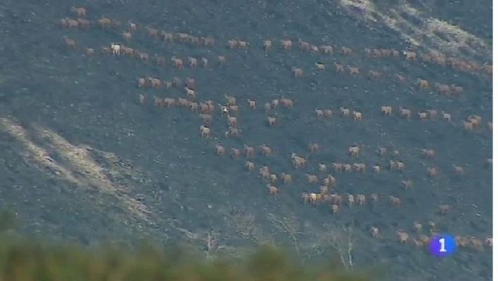 Panorama Regional - Panorama Regional - 18/10/17