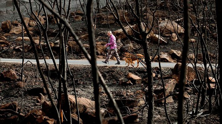 Telediario 1 - Problemas de suministro de agua y comunicaciones tras los incendios en Galicia