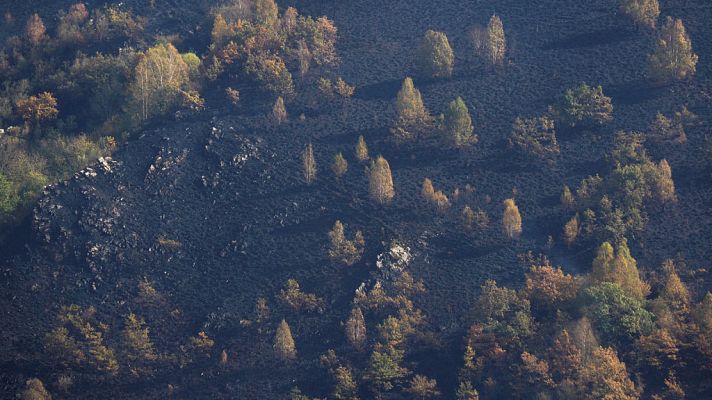Telediario 1 - La oposición lamenta la falta de prevención y la política forestal de la Xunta y Medio Ambiente