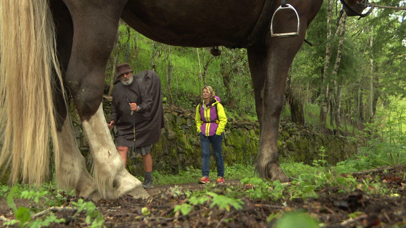80cm - Camino de Santiago - Avance