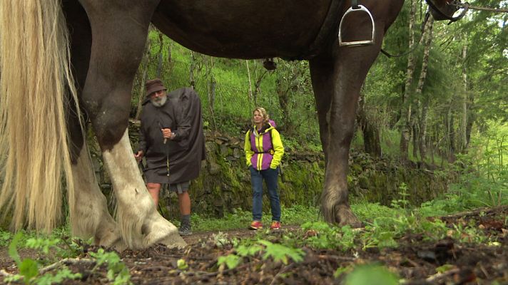 80 cm - 80cm - Camino de Santiago - Avance