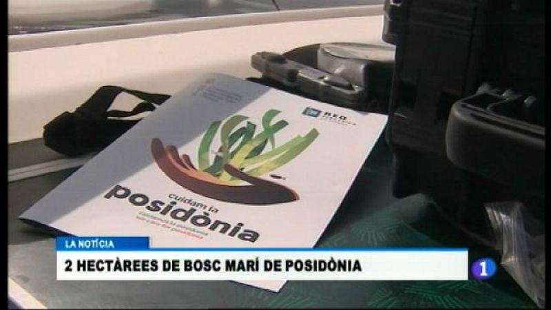 Informatiu Balear en 2' - 18/10/17