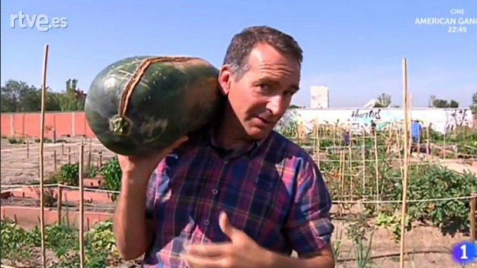 Si te den calabazas, cójelas