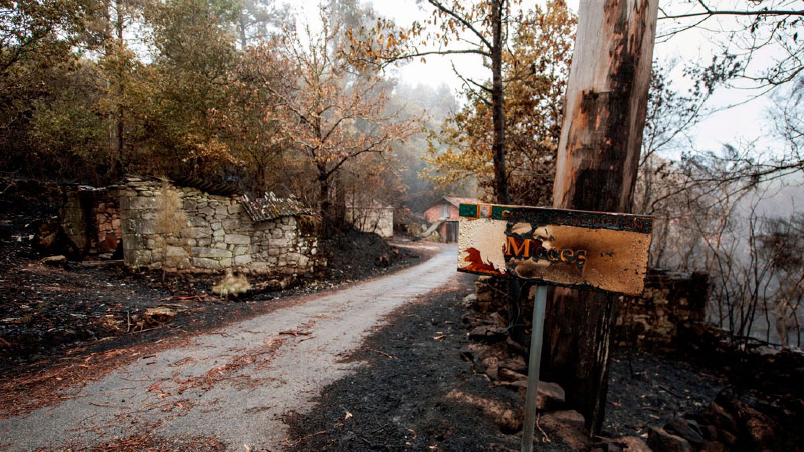 Los incendios de Galicia arrasan más de 35.000 hectáreas
