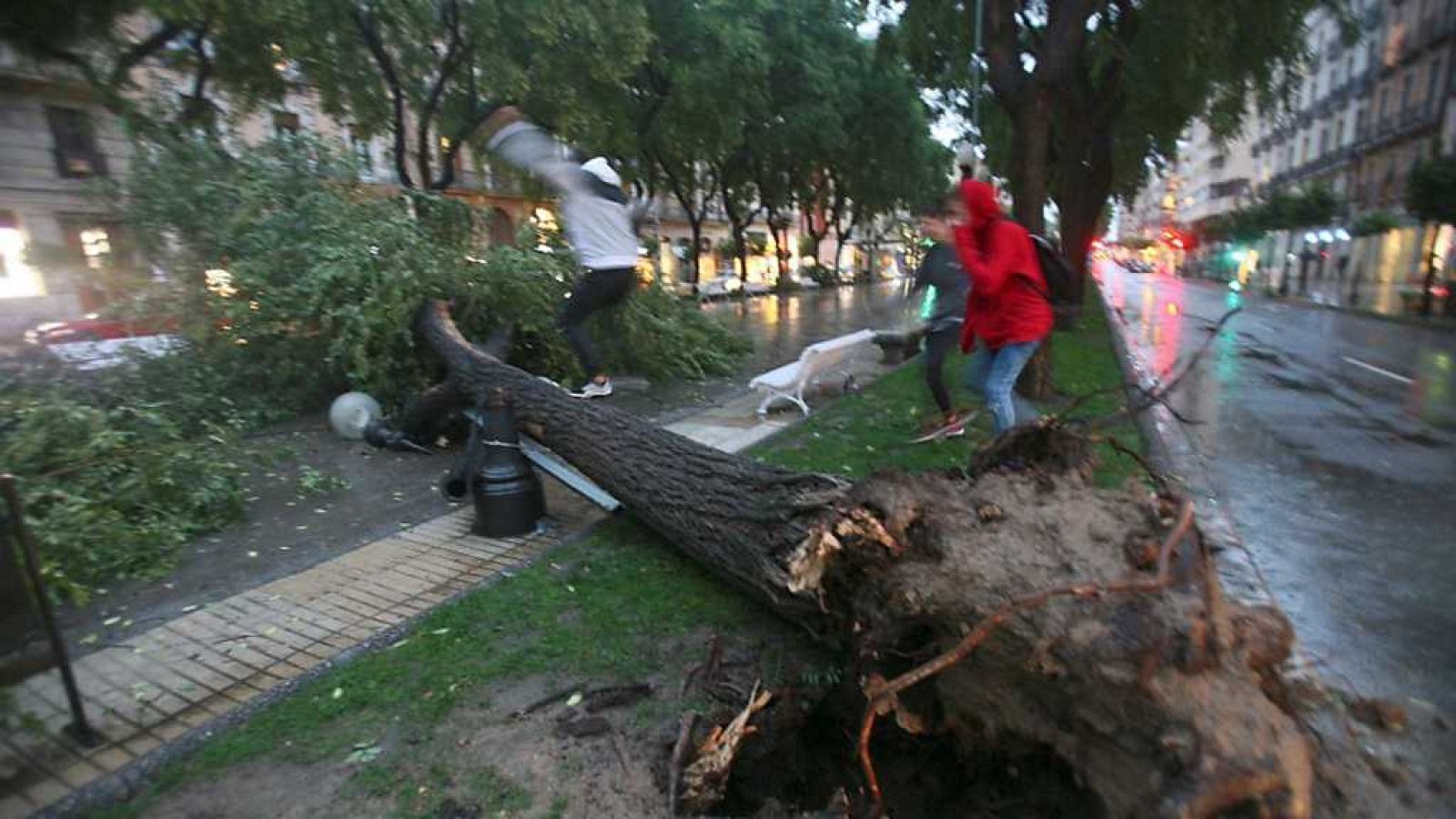 España Directo - 19/10/17 - ver ahora