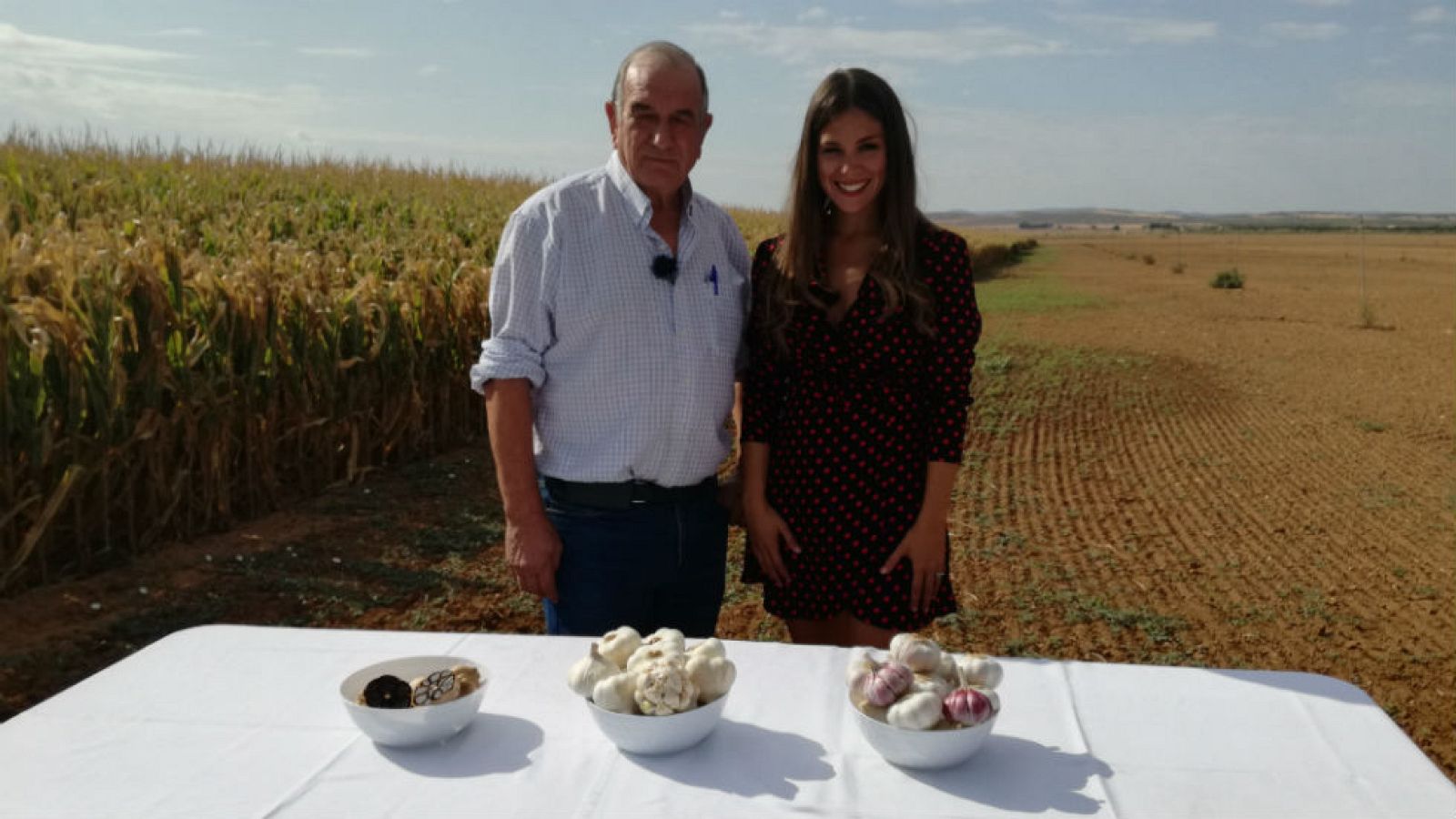 Blancos, negros y morados son... los ajos
