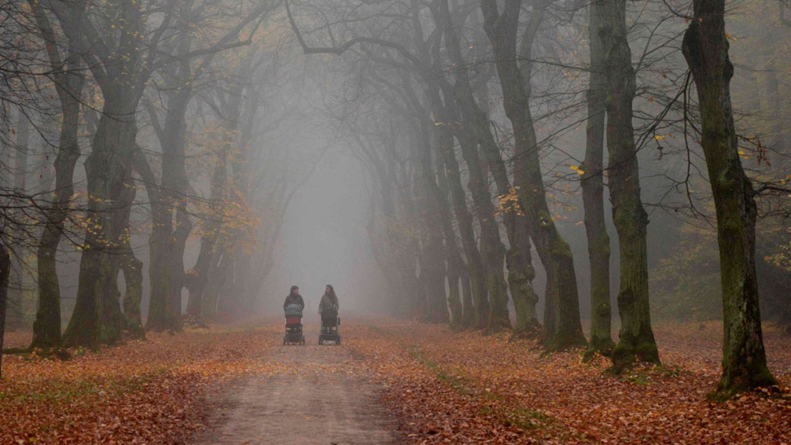 Predominio de tiempo estable y cielos poco nubosos
