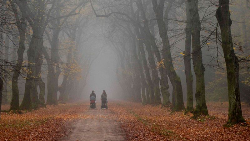 Predominio de tiempo estable y cielos poco nubosos