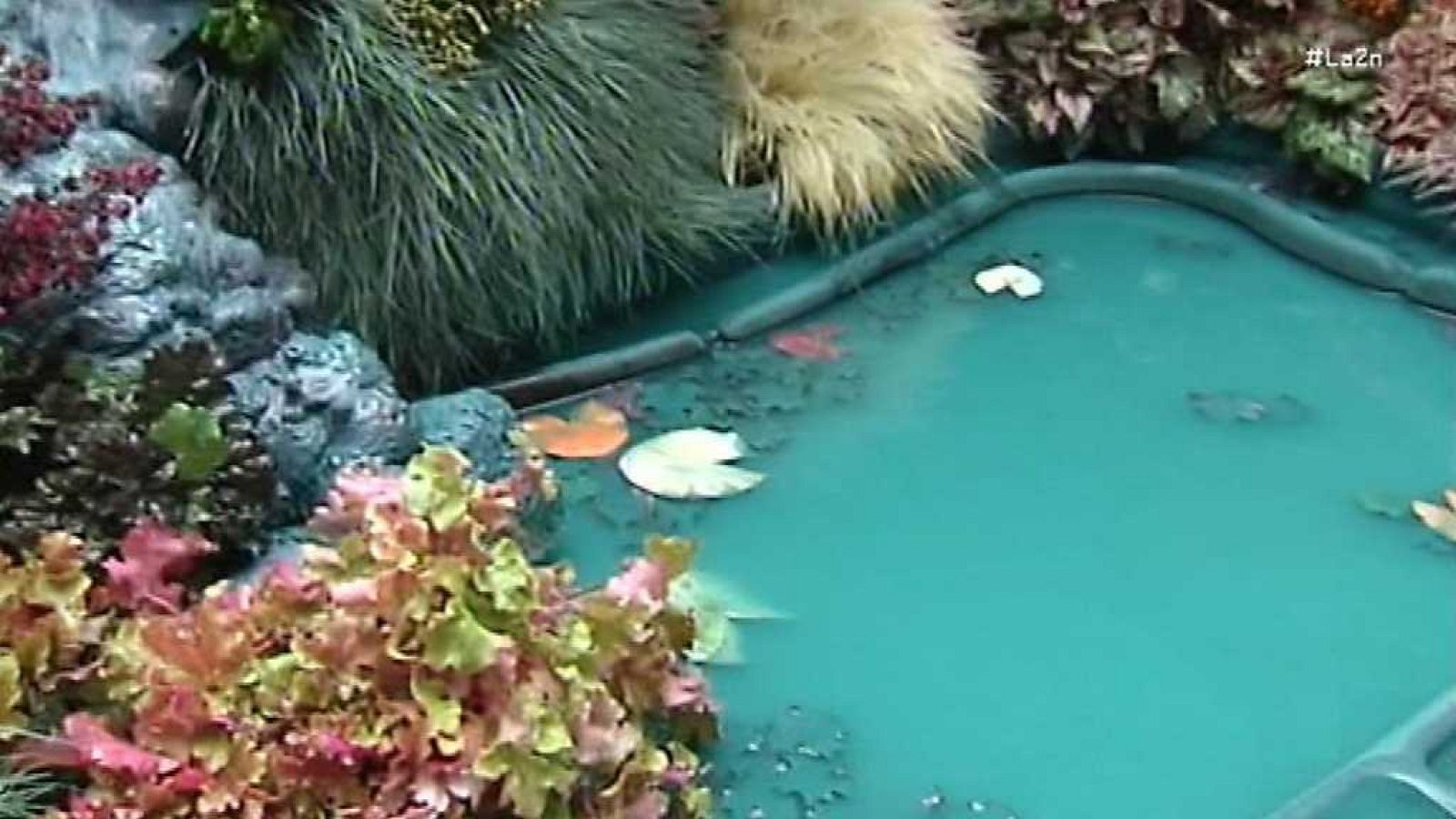 La 2 Noticias - 23/10/17 - ver ahora