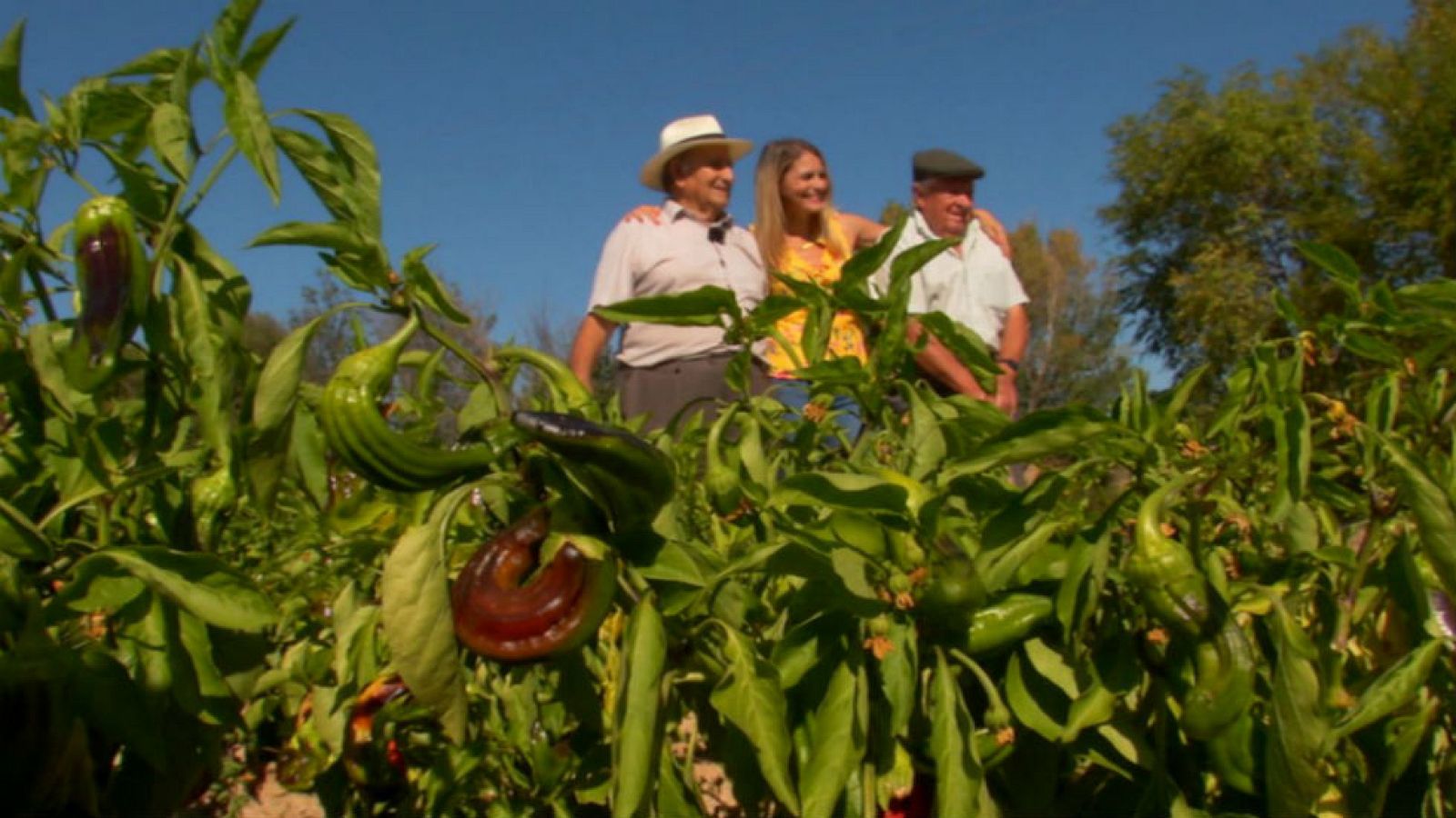 Hortelanos que lo llevan en la sangre