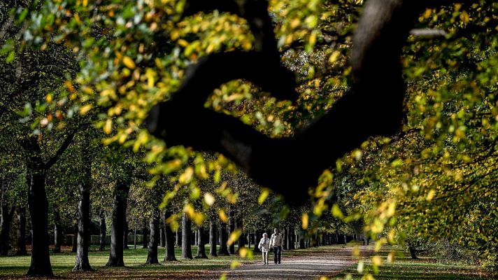 Informativo de Madrid - El Tiempo en la Comunidad de Madrid - 25/10/17