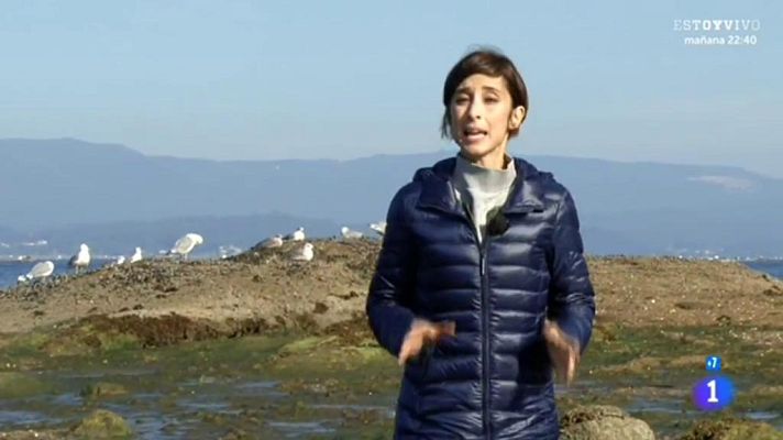 Comando Actualidad - El precio justo -  Los berberechos