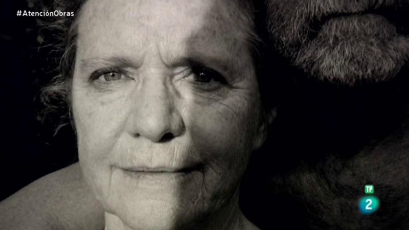 Atención Obras - Nicholas Nixon, fotógrafo