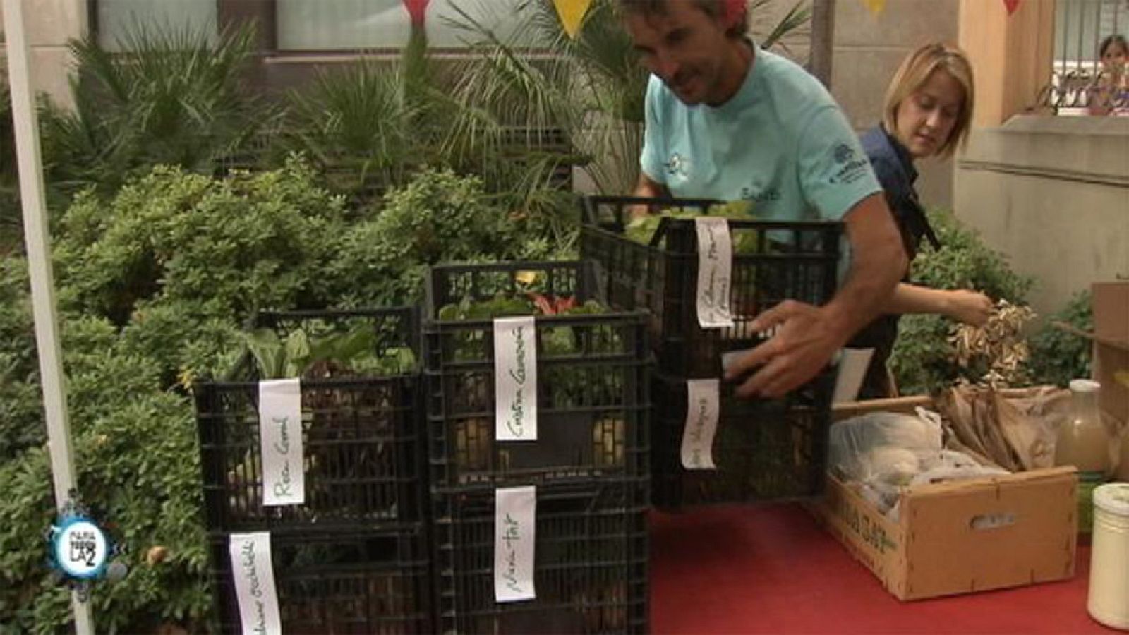 Para todos La 2 - Ecología y medio ambiente - La Colmena