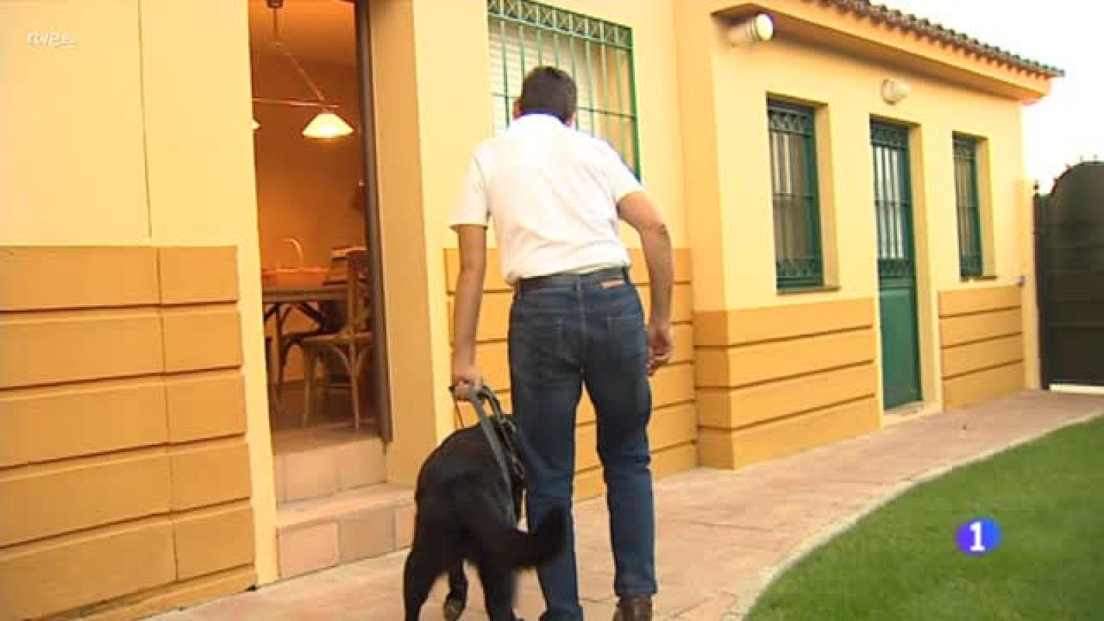 Día mundial del daño cerebral adquirido | Ver