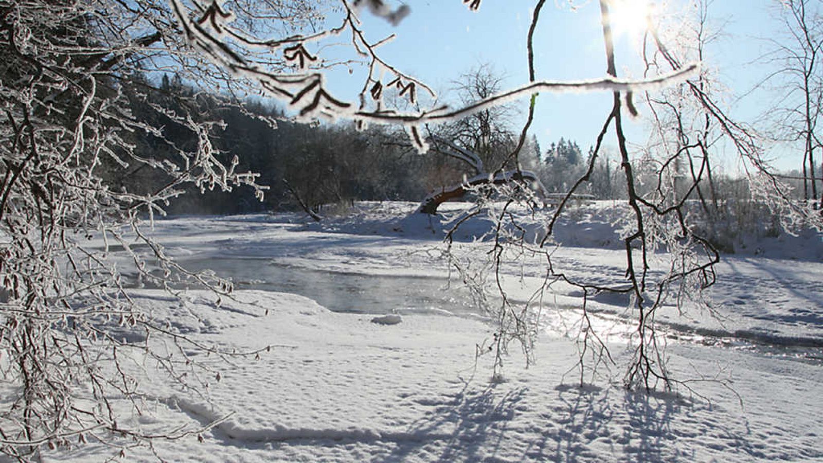 Grandes documentales - Historia de la vida: El poder - ver ahora