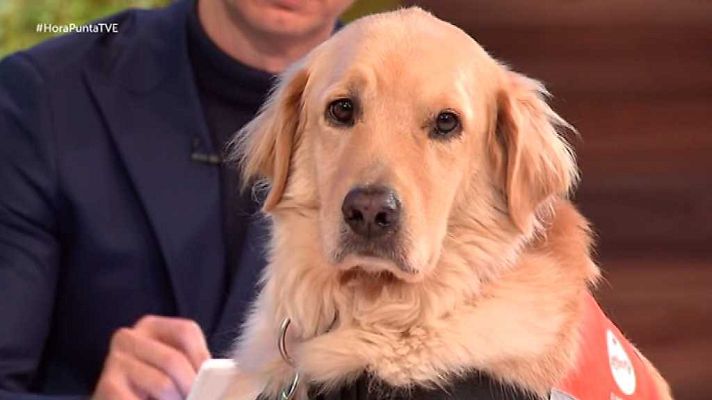 Hora punta - Hora punta - 26/10/17