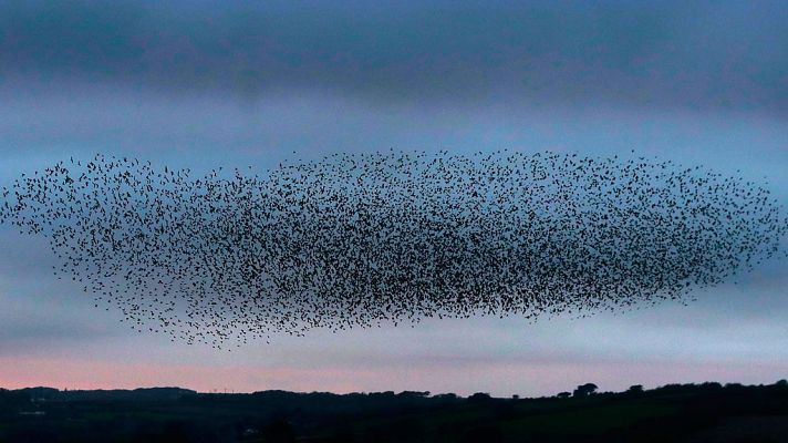 El tiempo - Viento en Galicia y Menorca, y bajada de las temperaturas en Canarias