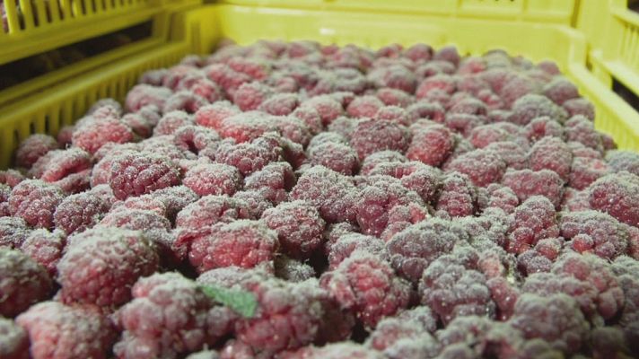 La noche temática - El fraude de la fruta falsa