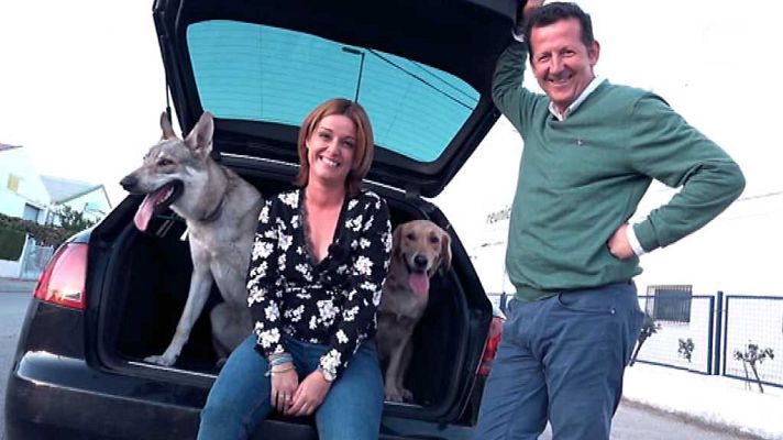 Seguridad vital 5.0 - Seguridad Vital - 29/10/17