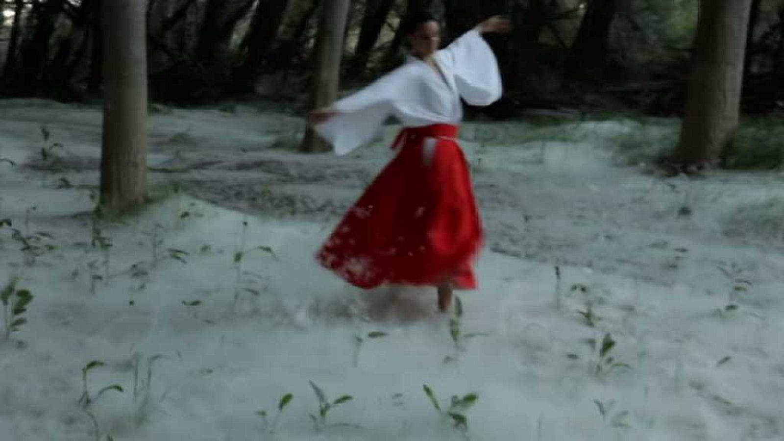 La aventura del saber - 30/10/17 - ver ahora