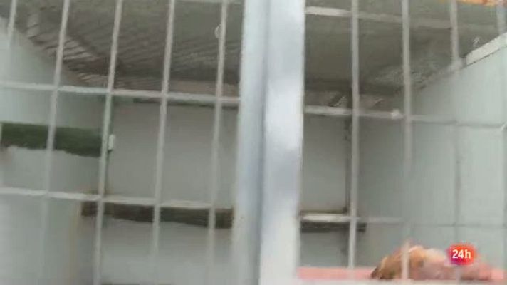  - Sebastián Moreno ha decidido ampliar su negocio