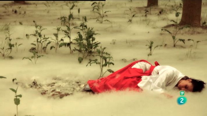 La aventura del Saber - Arte en la naturaleza