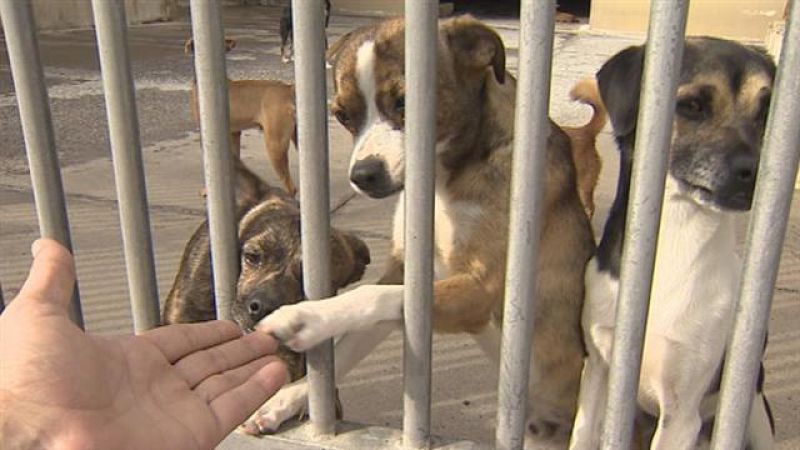 Cerca de ti - 02/11/2017