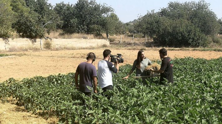 Aquí la Tierra - Paja de arroz con una segunda vida