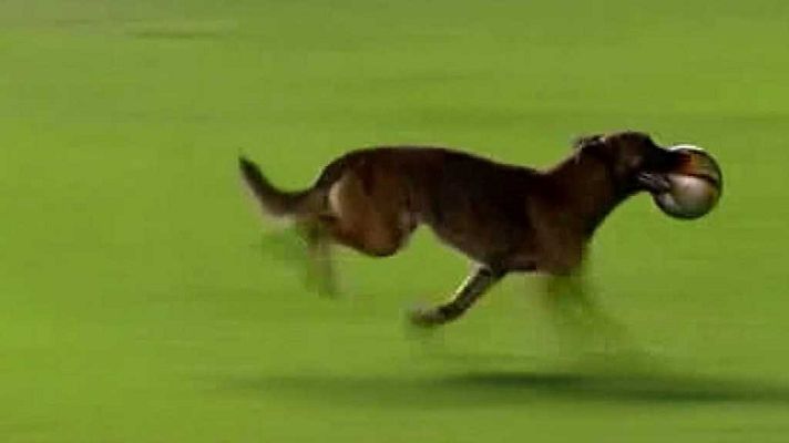 Conexión tdp - Conexión tdp - 02/11/17