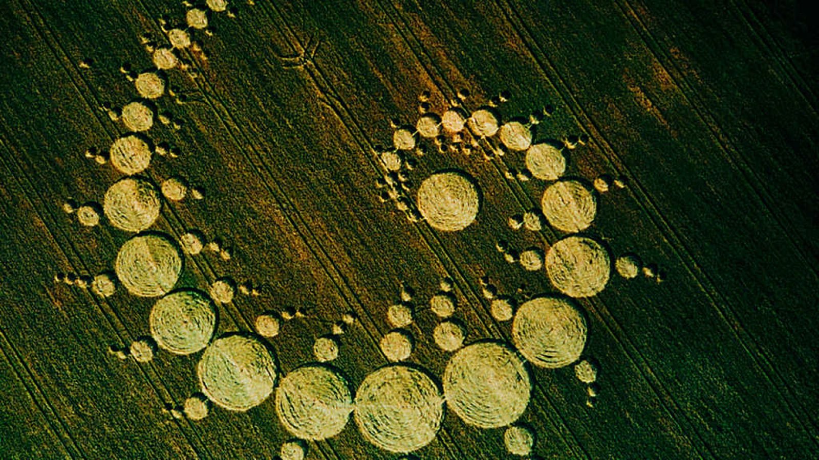 El documental - Huellas terrestres vistas desde el cielo: El misterio de los círculos de cosecha - ver ahora