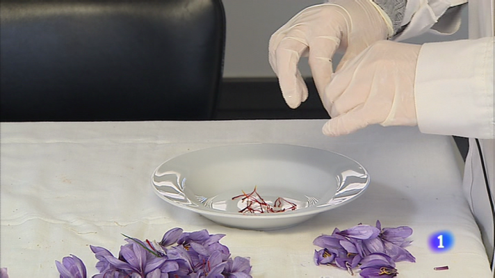 Informativo Telerioja - Informativo Telerioja 2 - 3/11/17