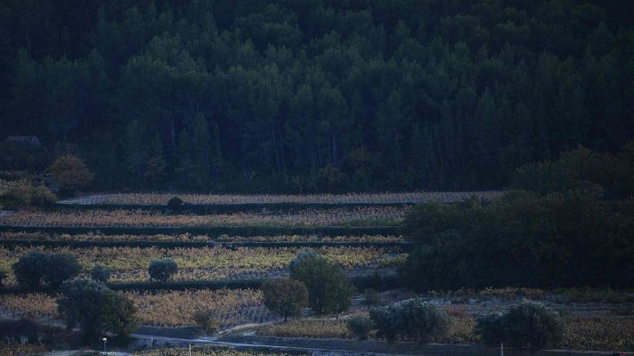 El tiempo - Las lluvias barrerán la Península y Baleares el fin de semana