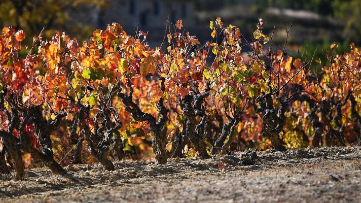 El tiempo - Viento fuerte en el Ebro, los Pirineos y el Ampurdán