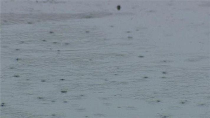 Telecanarias - Telecanarias - 05/11/2017