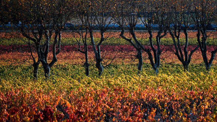 El tiempo - Intervalos de viento fuerte en el Ebro y muy fuerte en los Pirineos