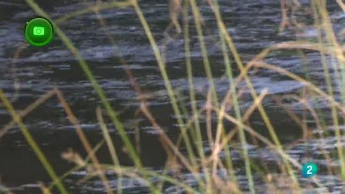 Agrosfera - Siega Verde