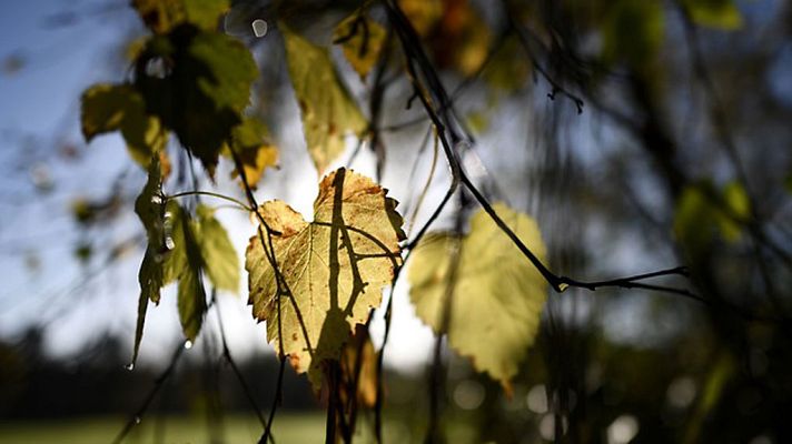 El tiempo - Nieve en Pirineos y chubascos y vientos fuertes en nordeste y Baleares
