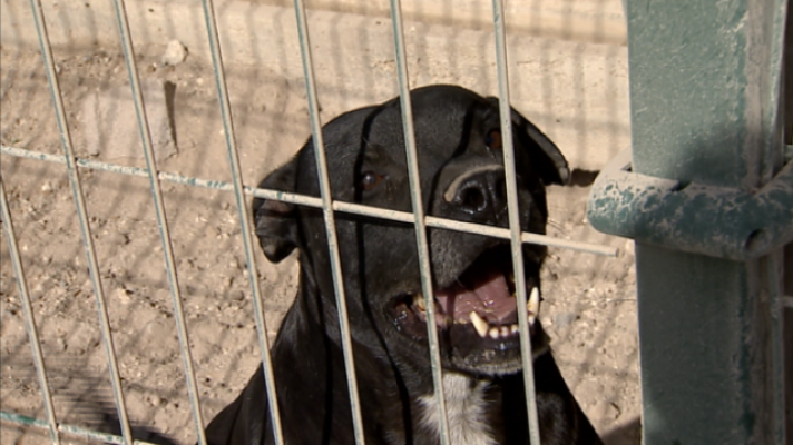 Telecanarias - Telecanarias 2 - 06/11/2017