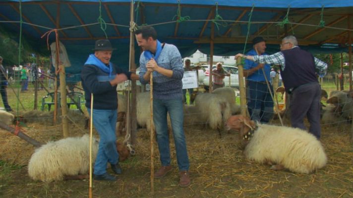 Aquí la Tierra - Una pasarela de animalitos