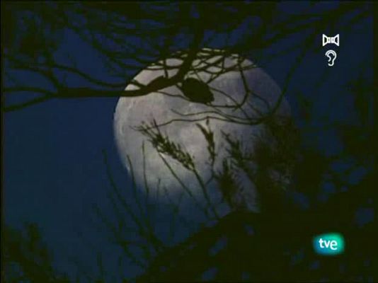 Jara y sedal - La pesca en Ampuria Brava