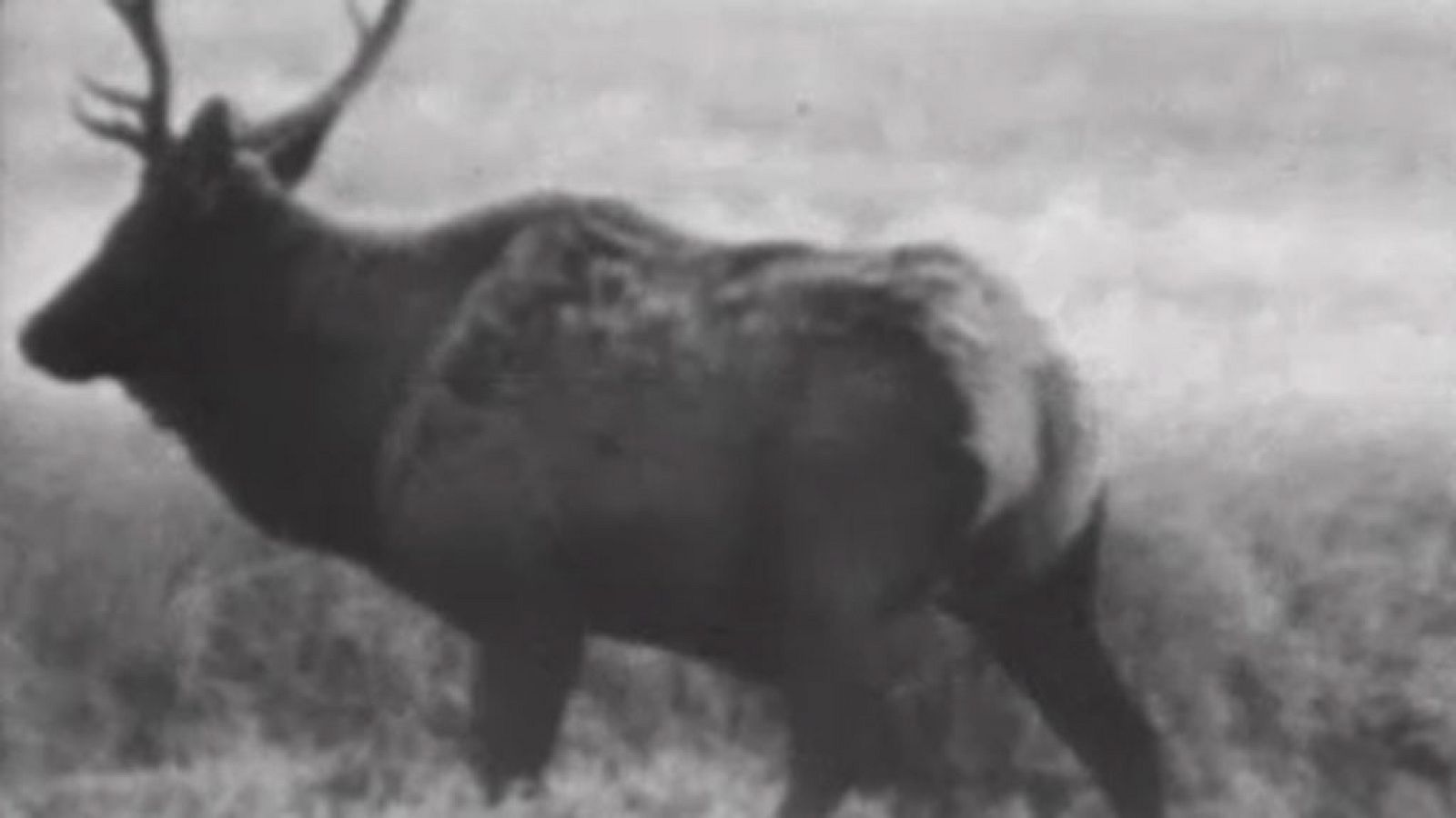 El planeta azul - El otoño (II)