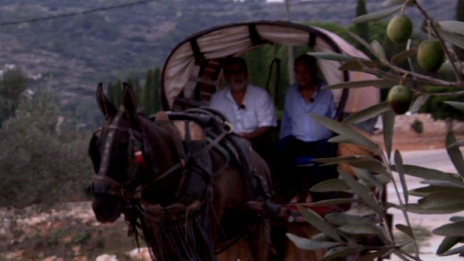 "Traginers", los amigos de los carros